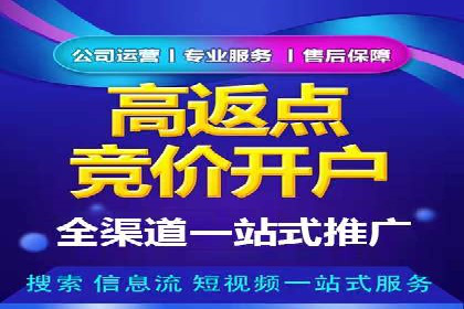 某行业竞价推广的挑战与机遇——多案例研究
