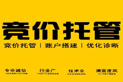网站SEM托管服务客户案例分享